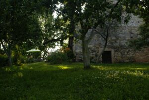 SONY DSC